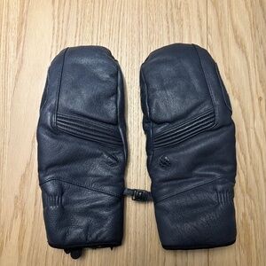 Hardscrabble Insulated Mitt